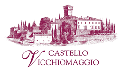 castello vicchiomaggio wine tour